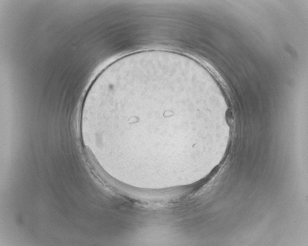 X0000115581246200912221043