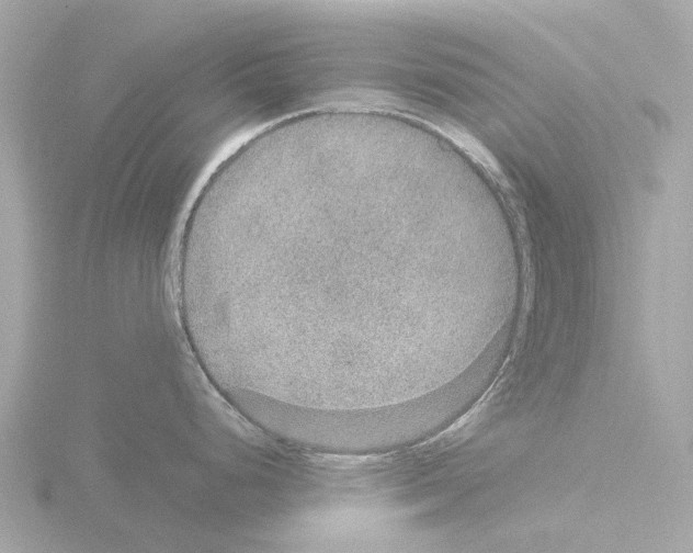 X0000115581248200912221043