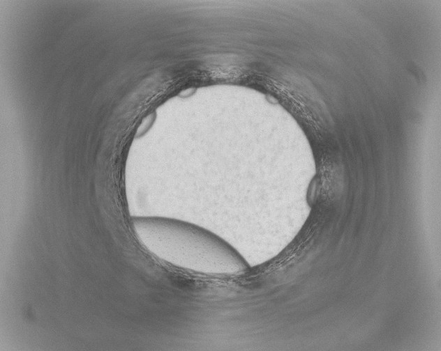 X0000115581249200912221042