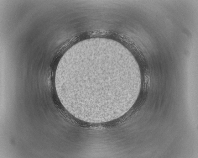 X0000115581250200912221042