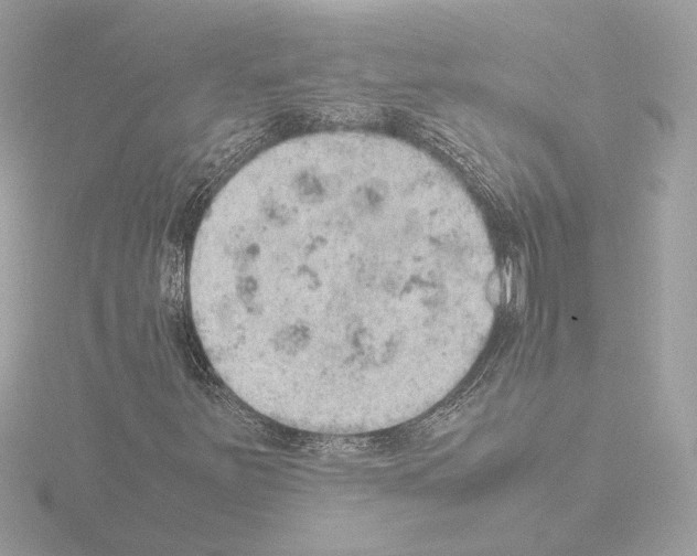 X0000115581251200912221042