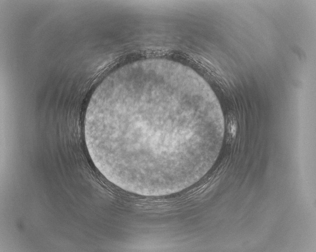 X0000115581252200912221042