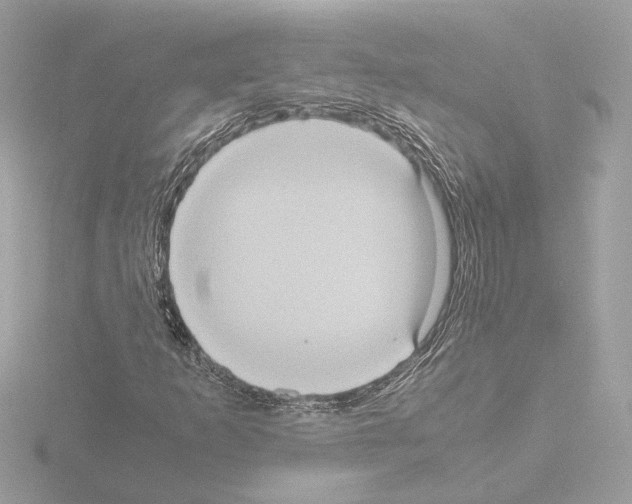 X0000115581253200912221042