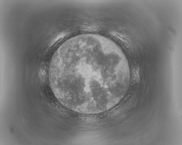 X0000115581254200912221042