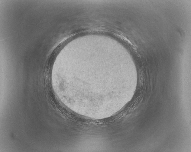 X0000115581255200912221042