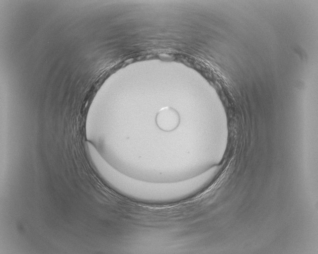 X0000115581257200912221042