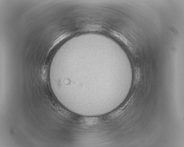 X0000115581258200912221042