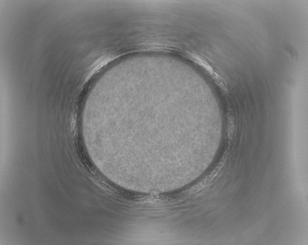 X0000115581259200912221042