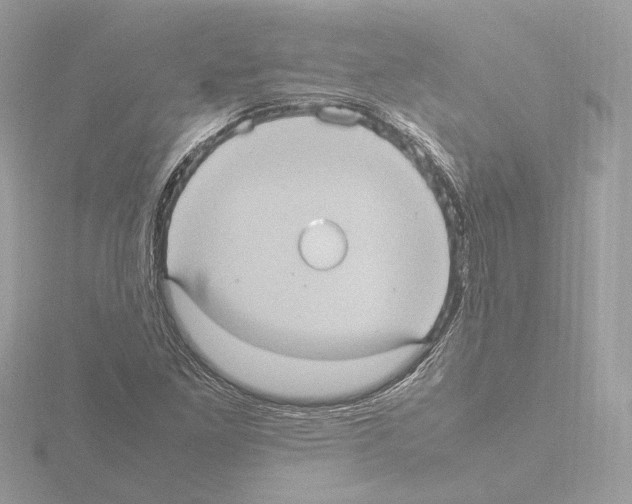 X0000115581261200912221042