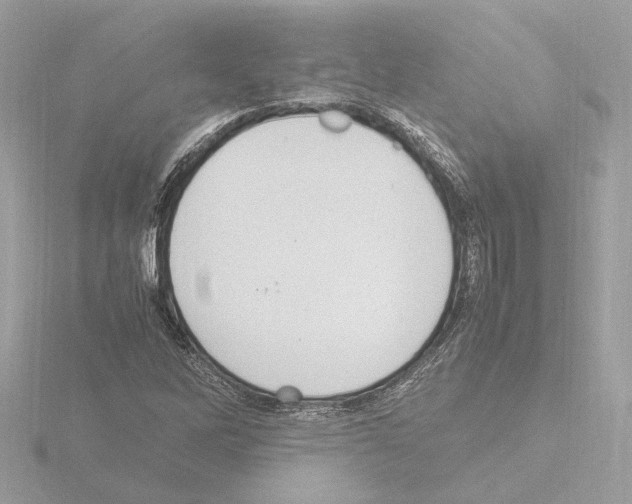 X0000115581262200912221042