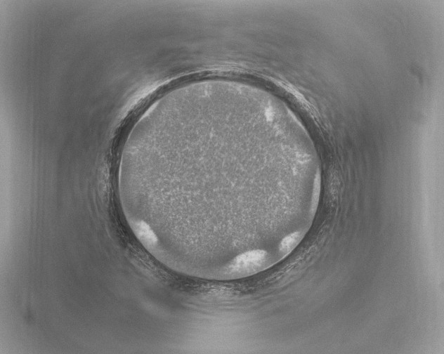 X0000115581263200912221042