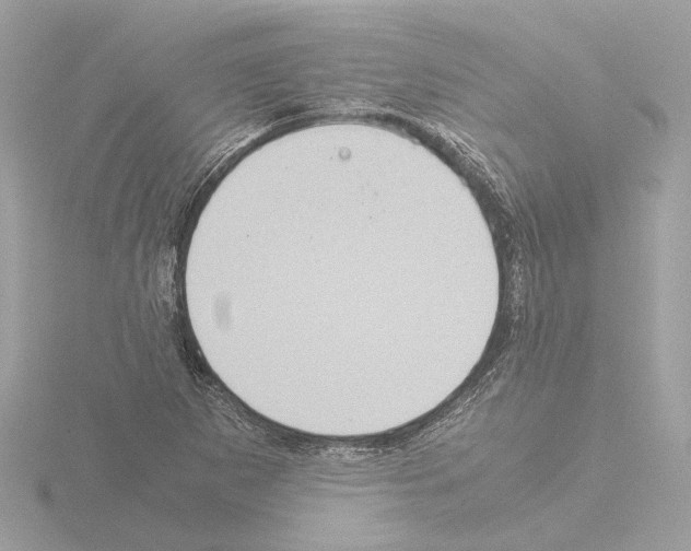 X0000115581265200912221042