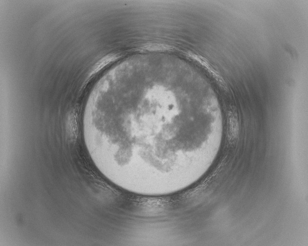 X0000115581266200912221042