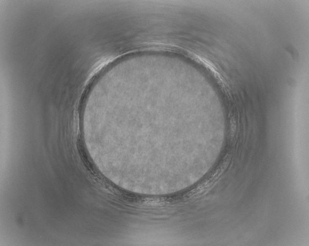 X0000115581267200912221042