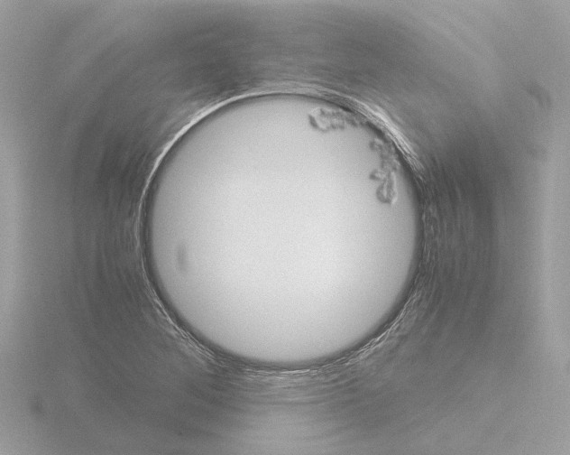 X0000115581268200912221042