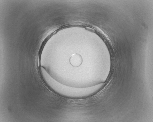 X0000115581269200912221042