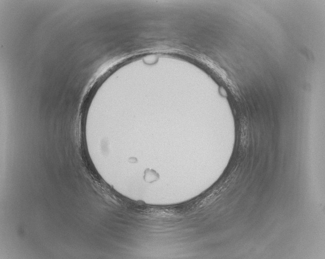 X0000115581270200912221042