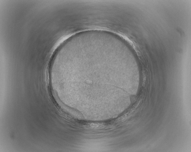 X0000115581271200912221042