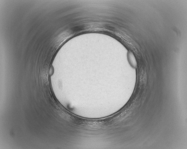 X0000115581273200912221042