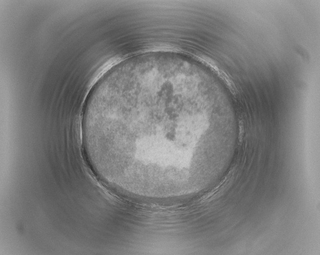 X0000115581274200912221042