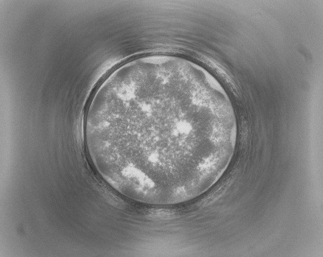 X0000115581275200912221042