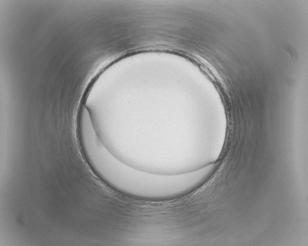 X0000115581277200912221042