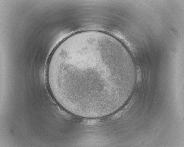 X0000115581278200912221042