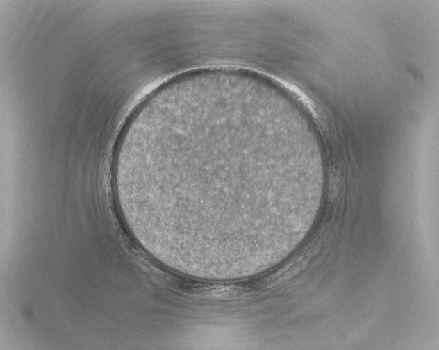 X0000115581279200912221042