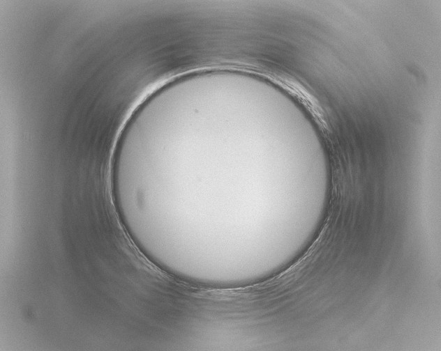 X0000115581280200912221042