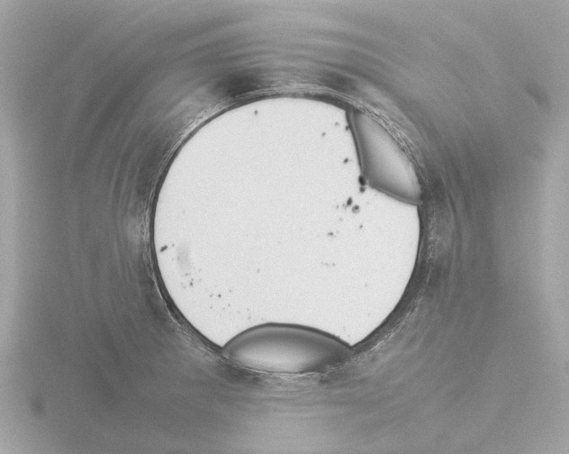 X0000115581281200912221042