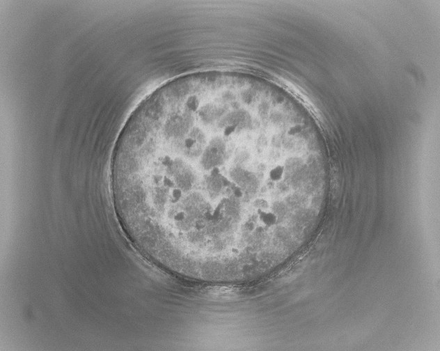 X0000115581283200912221042