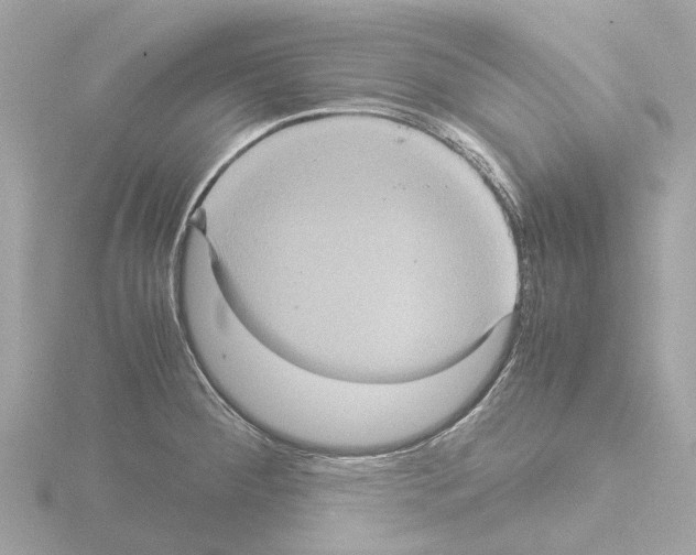 X0000115581284200912221042