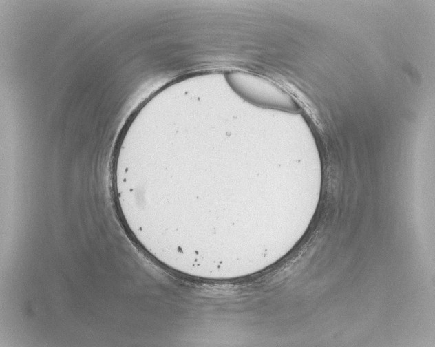 X0000115581285200912221042