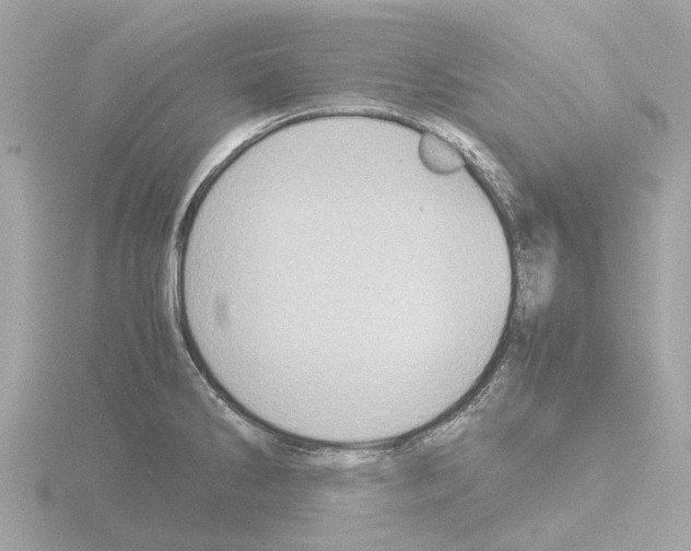 X0000115581286200912221042