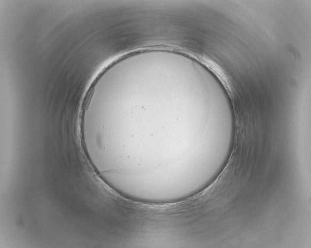 X0000115581288200912221041