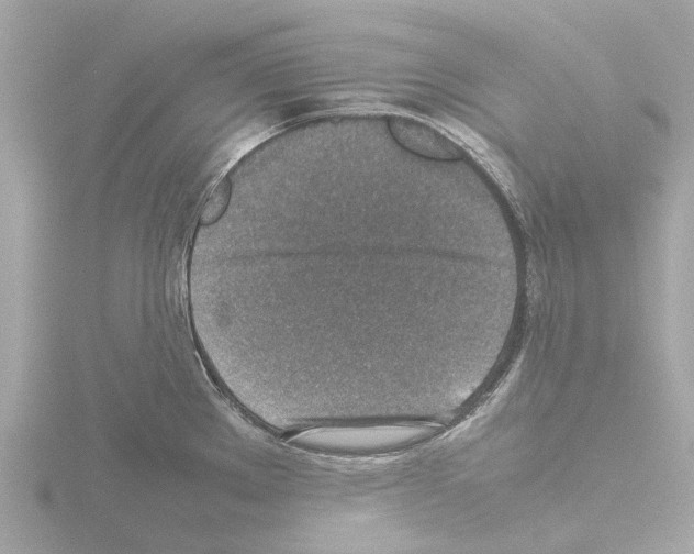 X0000115581289200912221041