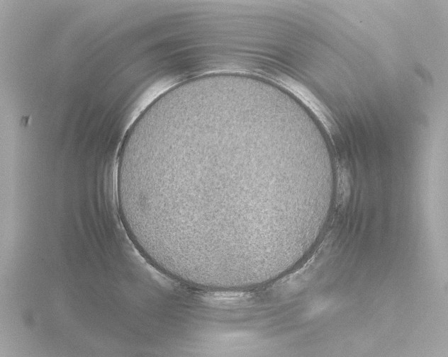 X0000115581290200912221041