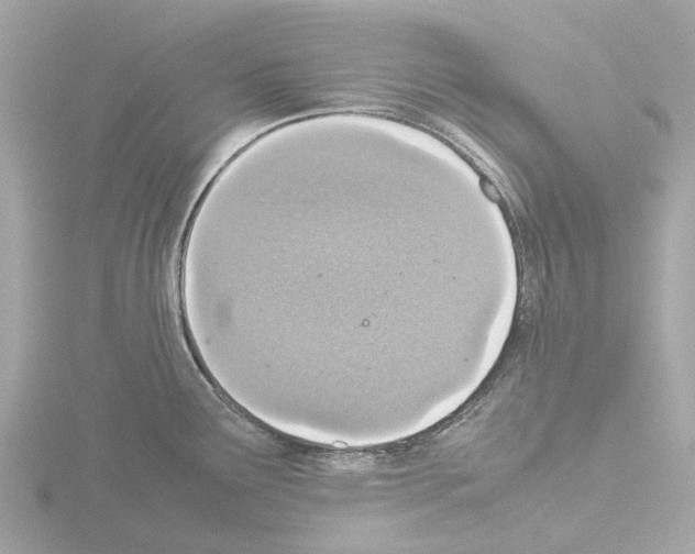 X0000115581291200912221041