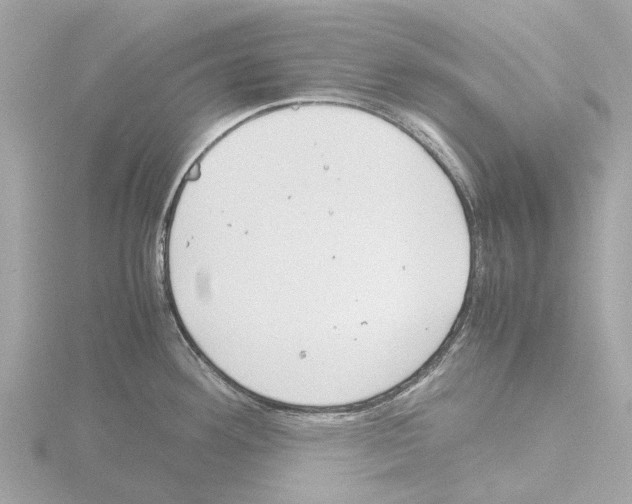 X0000115581292200912221041