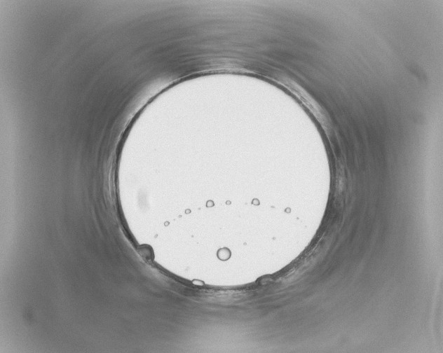 X0000115581293200912221041