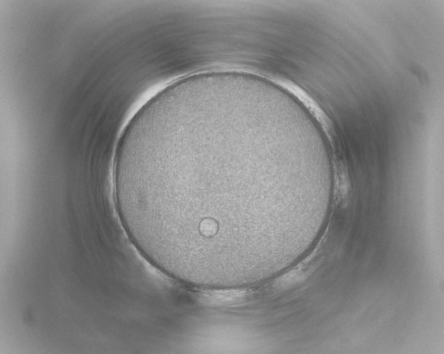 X0000115581294200912221041