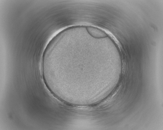 X0000115581295200912221041