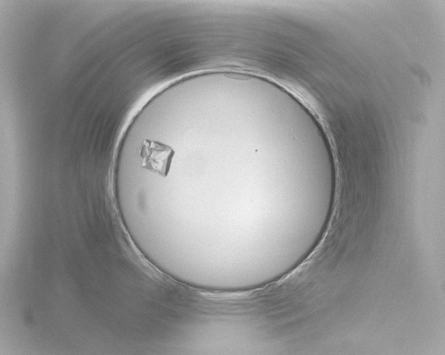 X0000115581296200912221041