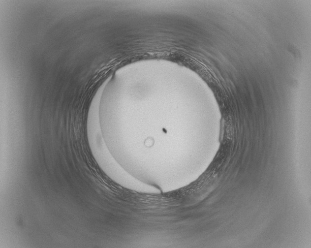 X0000115581298200912221041