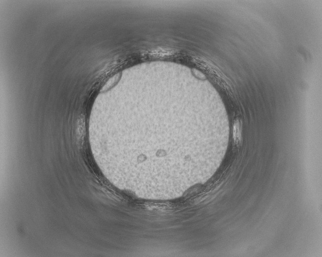 X0000115581299200912221041