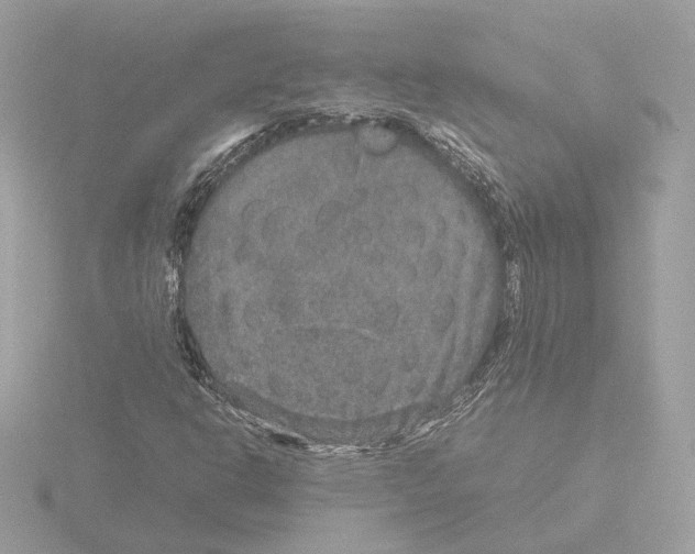 X0000115581302200912221041