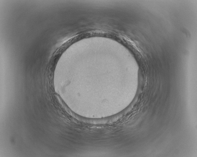 X0000115581303200912221041