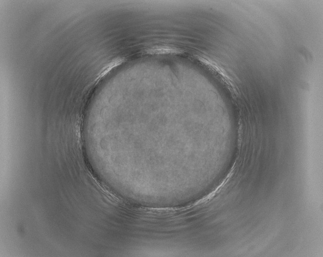 X0000115581305200912221041