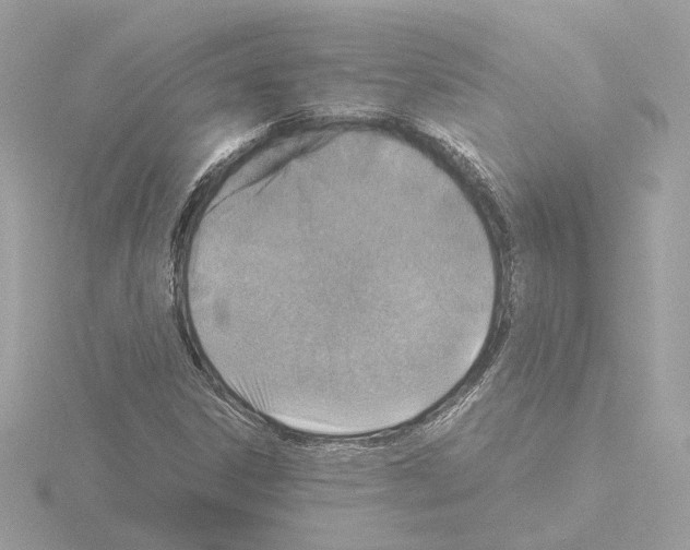 X0000115581306200912221041