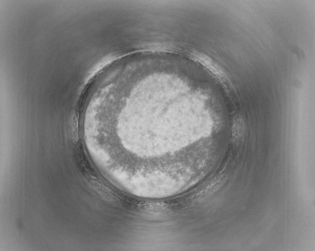 X0000115581310200912221041